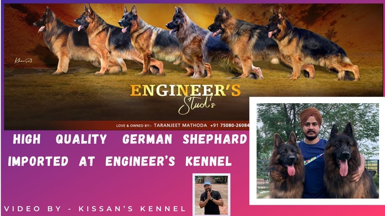 Engineer kennel owner mr Taranjeet Mathoda