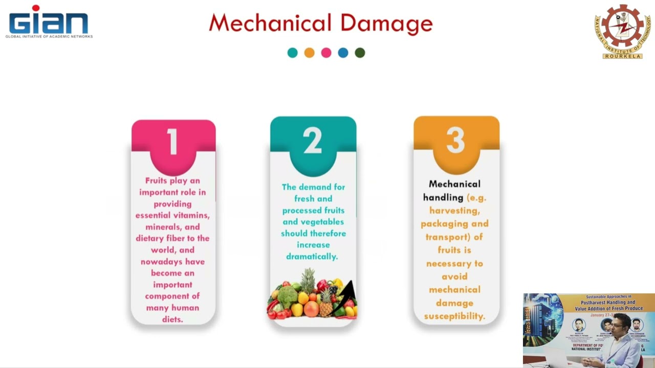 3. L3 - Quantifying and Assessing Mechanical damage in Fresh Produce Handling