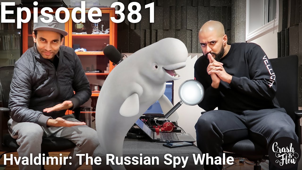 Episode 381 - Hvaldimir: The Russian Spy Whale