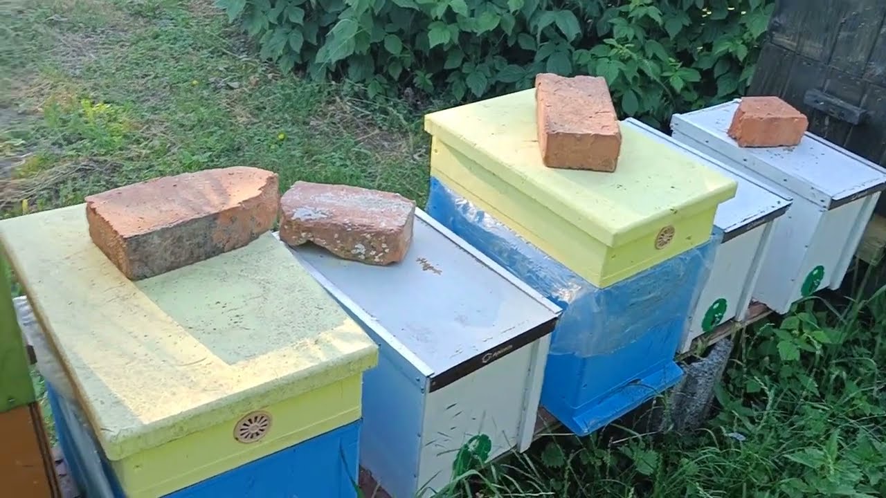39/2022# Kontrola odkładów, podanie matki UN do bezmatka