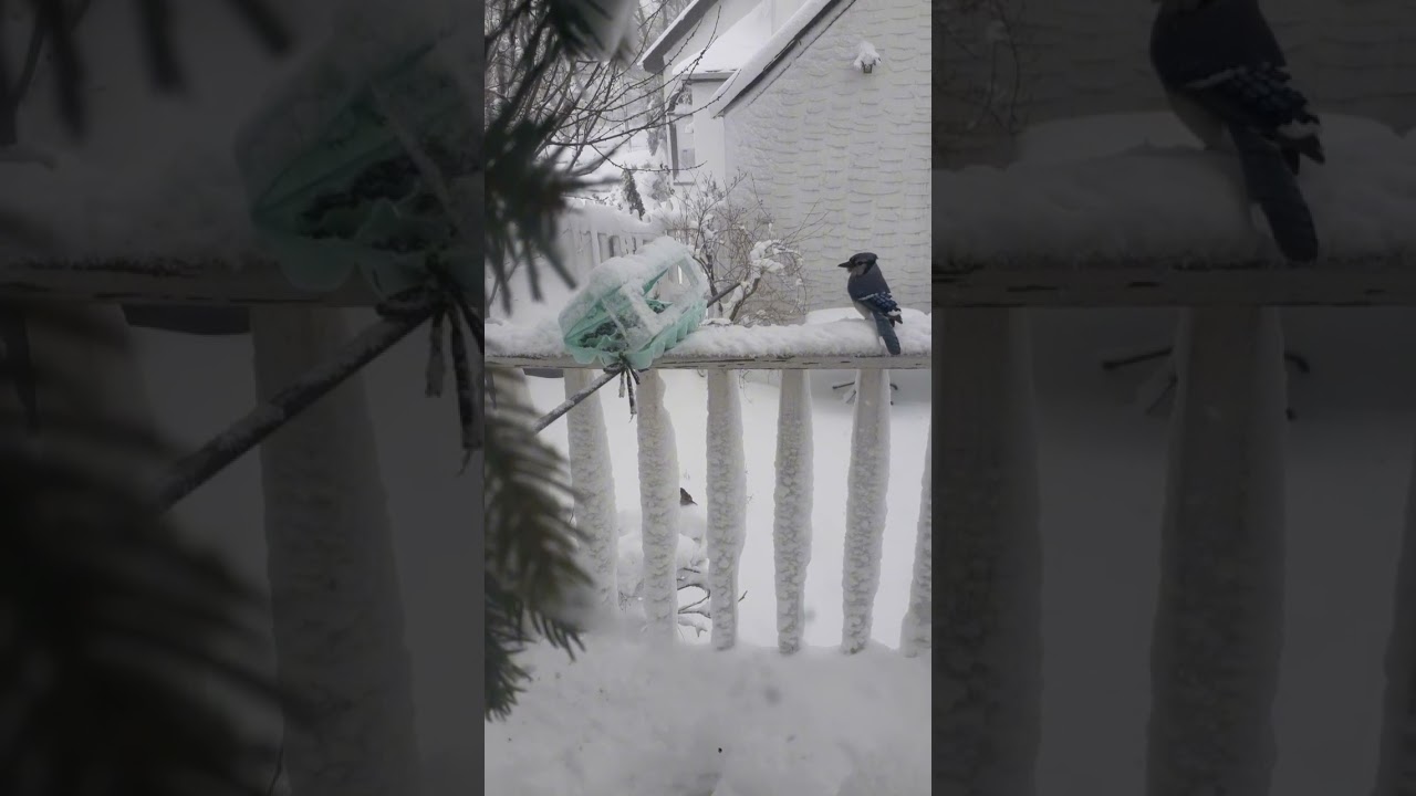 23 февраля 2026 г.