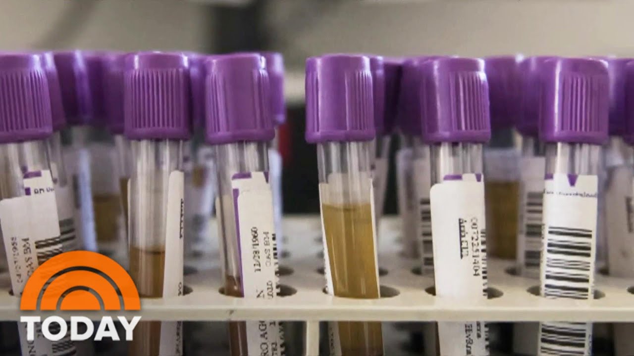 Could Blood Plasma of Coronavirus Survivors Be the Key to a Vaccine? | TODAY