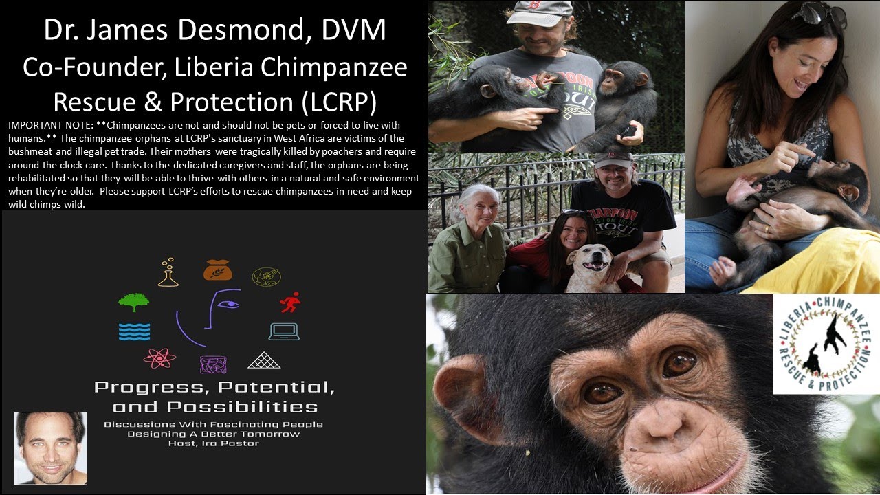 Dr James Desmond, Co-Founder, Liberia Chimpanzee Rescue & Protection - Zoonotic Disease Surveillance