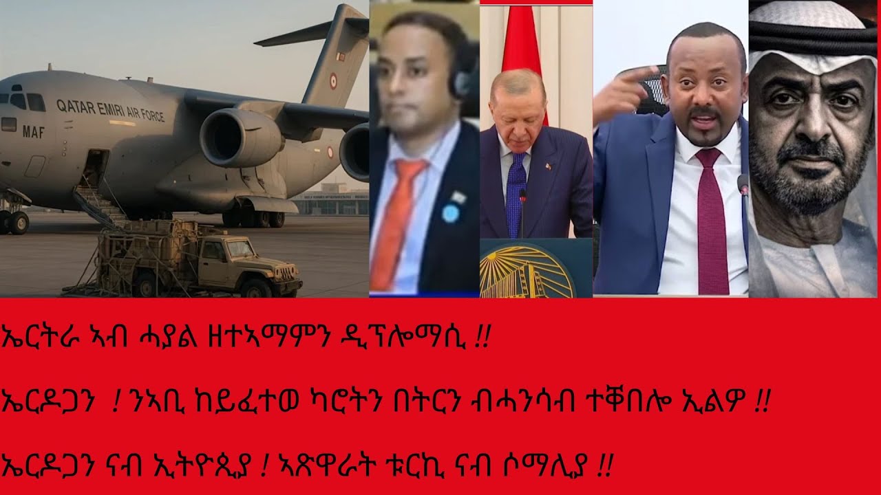 ኣቢ ! ባሕሪ ብጎበጣ ዘይኮነ ብምትሕብባር ! ኤርዶጋን ብዘይውልውል ! ዓቢ ዲፕሎማሲያዊ !