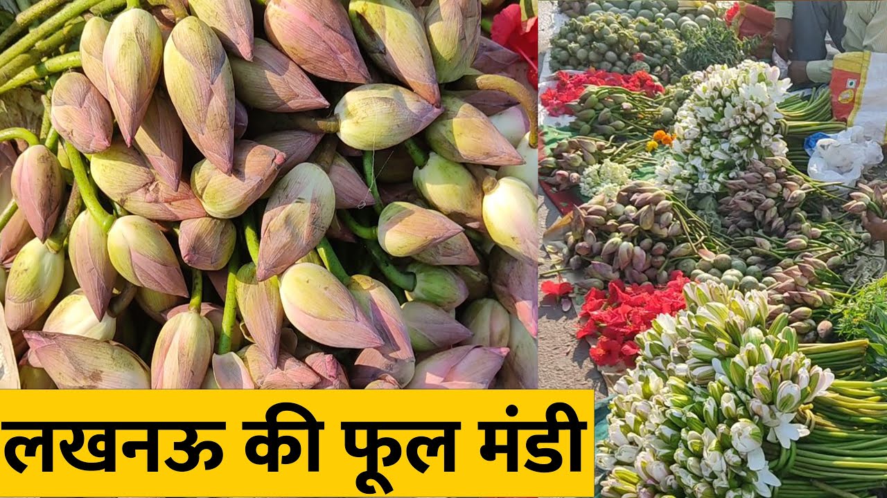 Lucknow flower market| लखनऊ फूल मंडी| Saleem Azad Vlogs