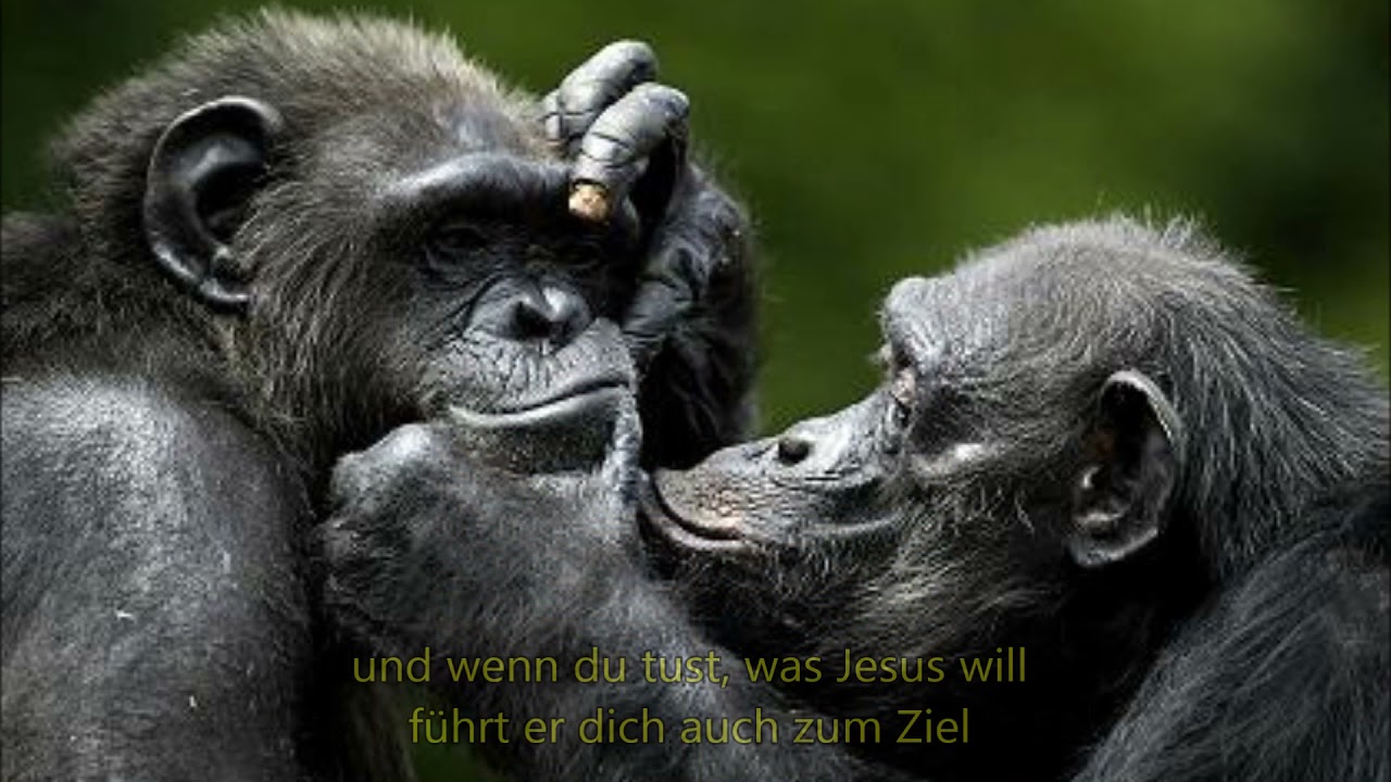 Vertrau auf Gott allein - Rabea Kramp