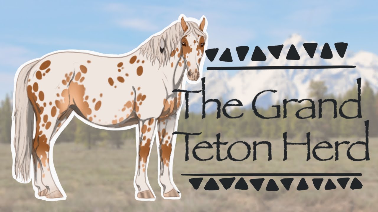 Clangen Cats But Make It HORSES!💙🐴 The Grand Teton Herd Speedpaint Challenge: Year 1
