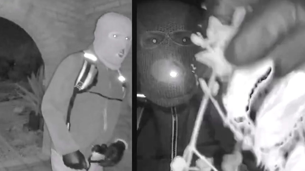 Savannah Guthrie's Missing Mom: See Security Footage of Alleged Kidnapper