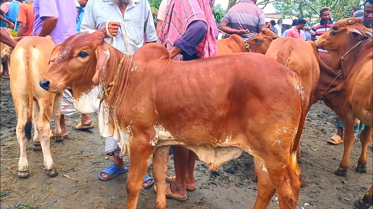 @আজ ২৯ জানুয়ারি