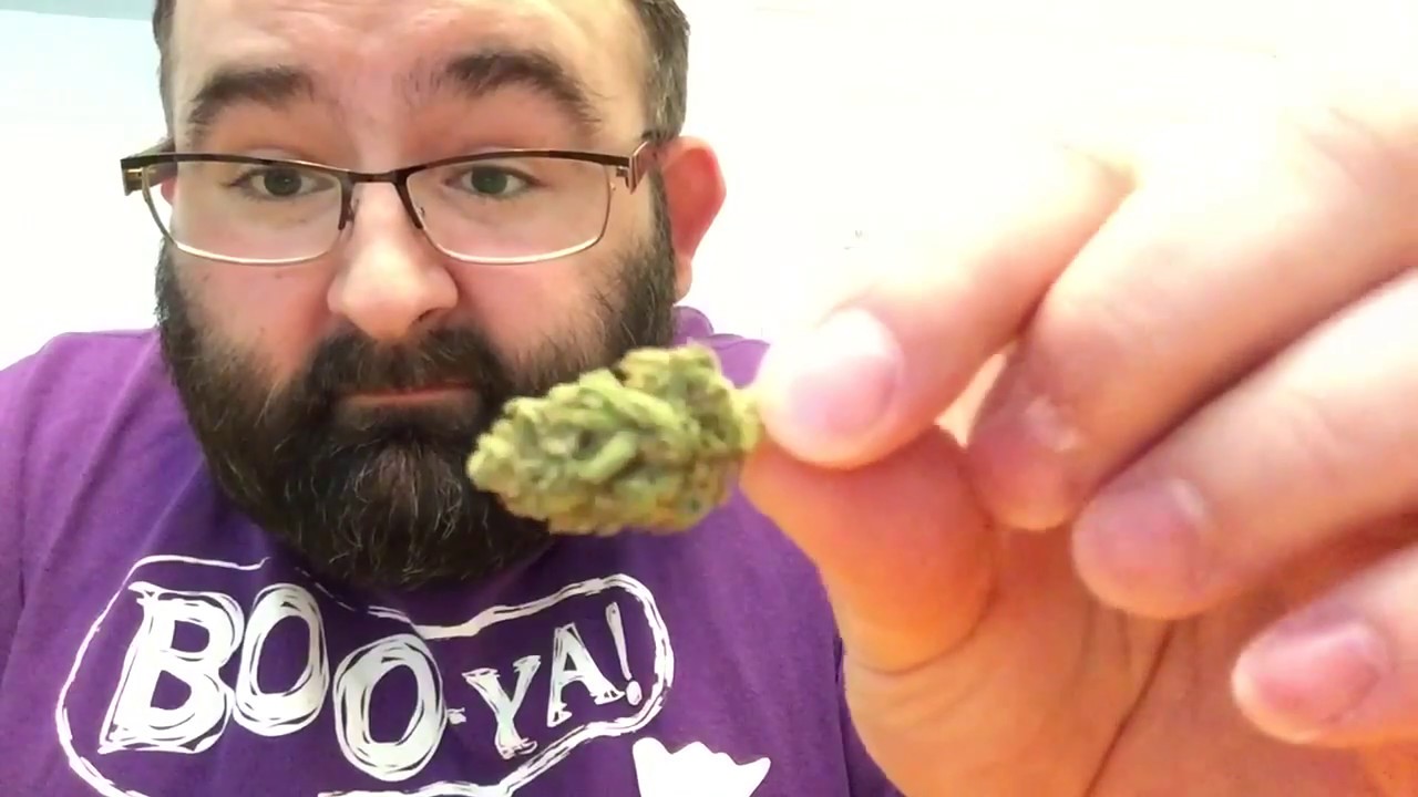 Strain Review: Super Lemon Haze by Rythm Research in IL