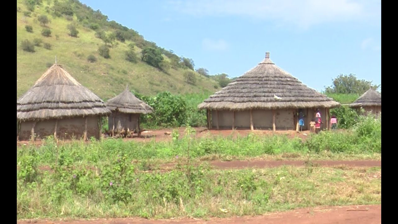 ANGELLA JOYCE(NAKAPIRIPIRIT KARAMOJA)   AMS & BUSINESS CLINIC SASAKAWA AFRICA ASSOCIATION