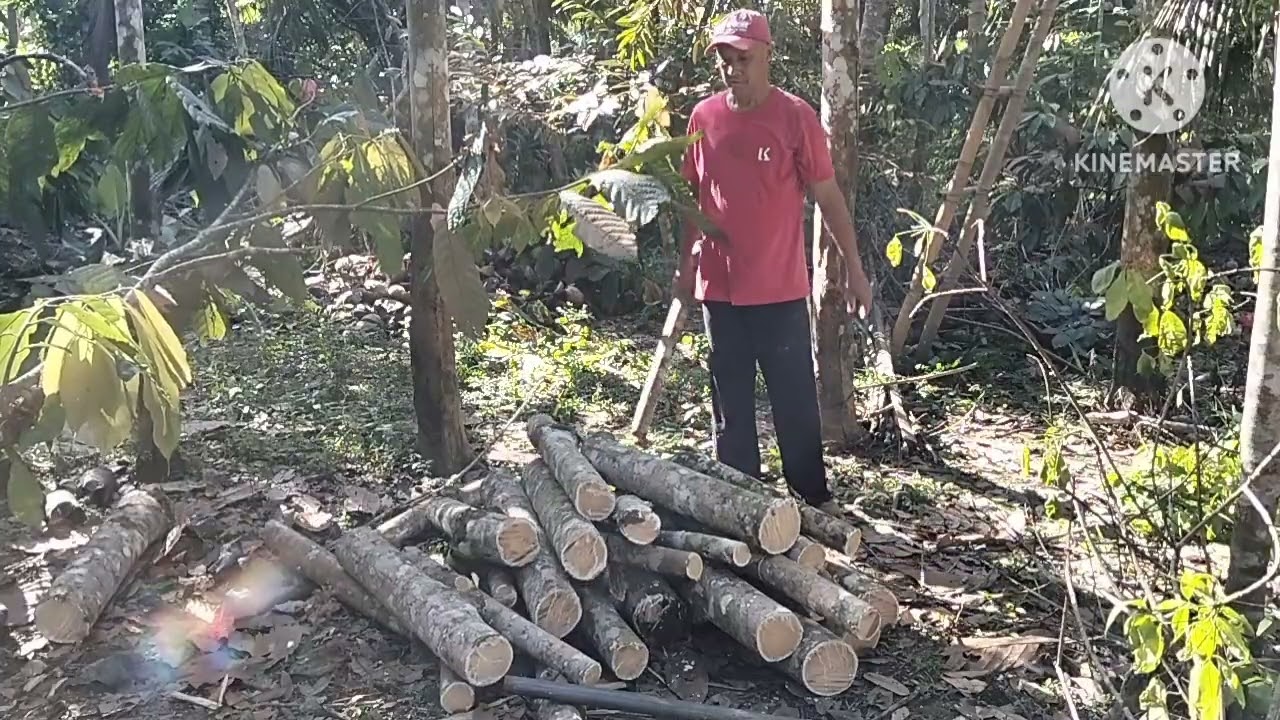 Making Firewood to Sell. (Profitable)