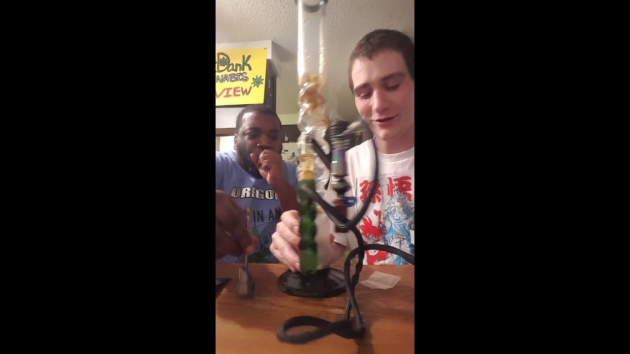 Breaking Bud Extractions 10% Terps Snap And Pull