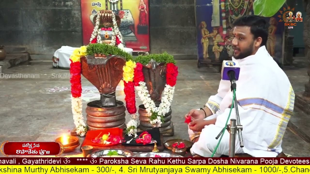 Paroksha Seva Rahu Kethu Sarpa Dosha Nivarana Pooja 19.02.2026