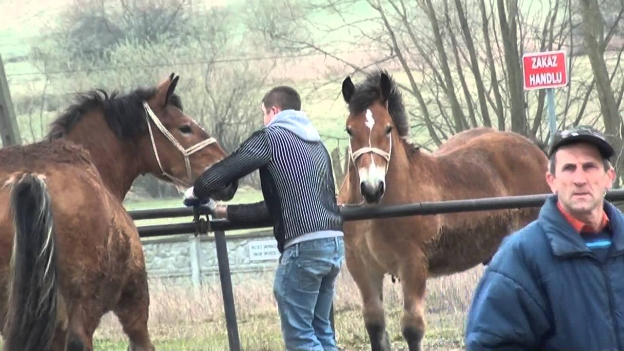 BODZENTYN 24 03 2014