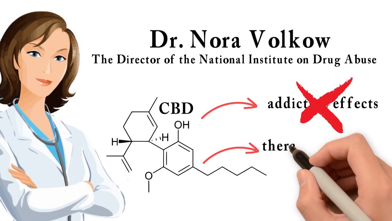 Why You Need CBD  -  The Endocannabinoid System Explained