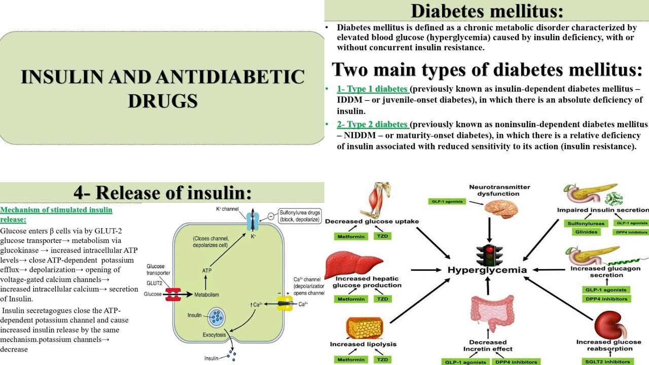 8- Pharmacology 3:- All about Antidiabetic drugs ( T1D and T2D Treatment) 