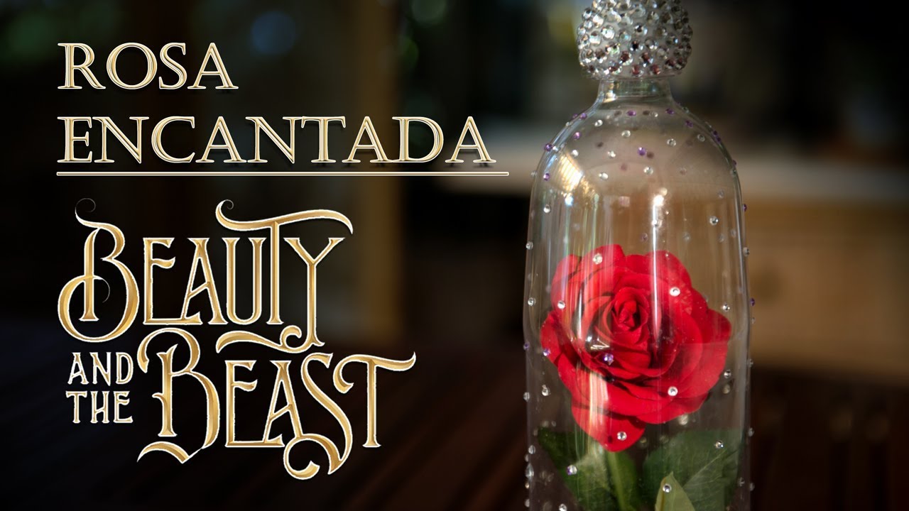 Rosa Encantada de Beauty and The Beast o La Bella y la Bestia