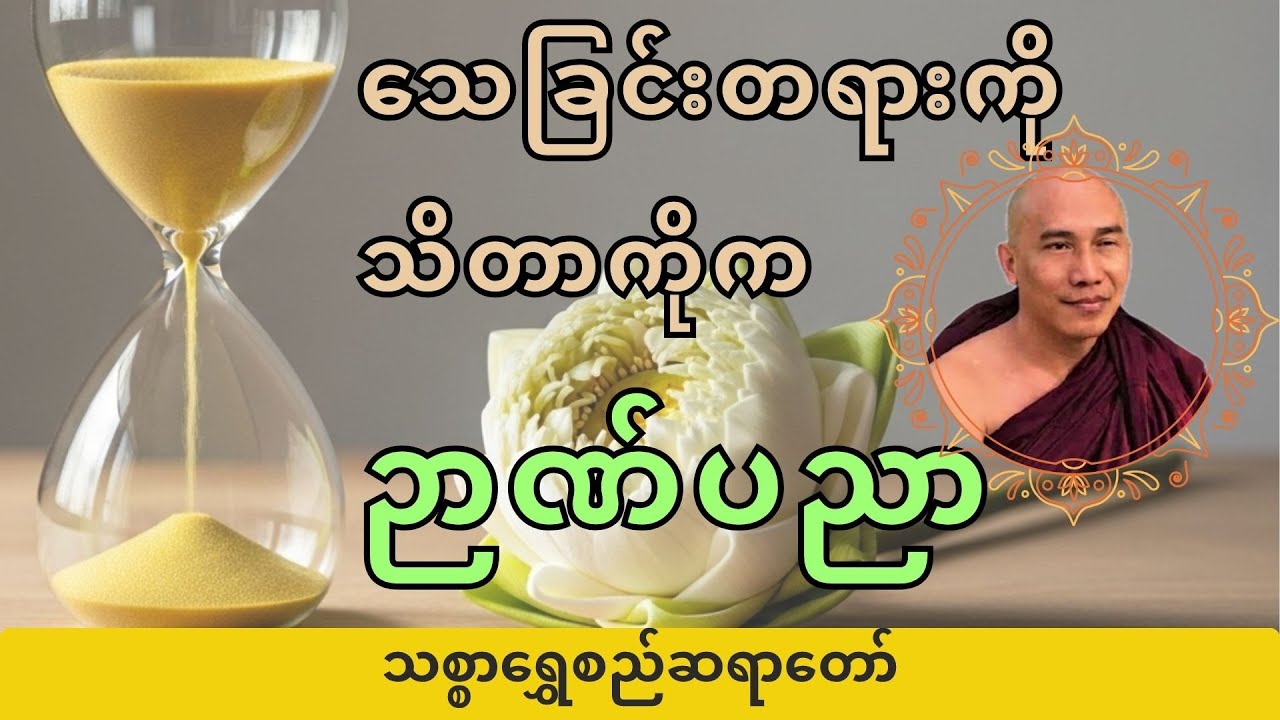 【ကြော်ငြာမပါ, ၃၀မိနစ်】အကန်းတောမှာမြင်တဲ့သူ | သစ္စာရွှေစည်ဆရာတော်