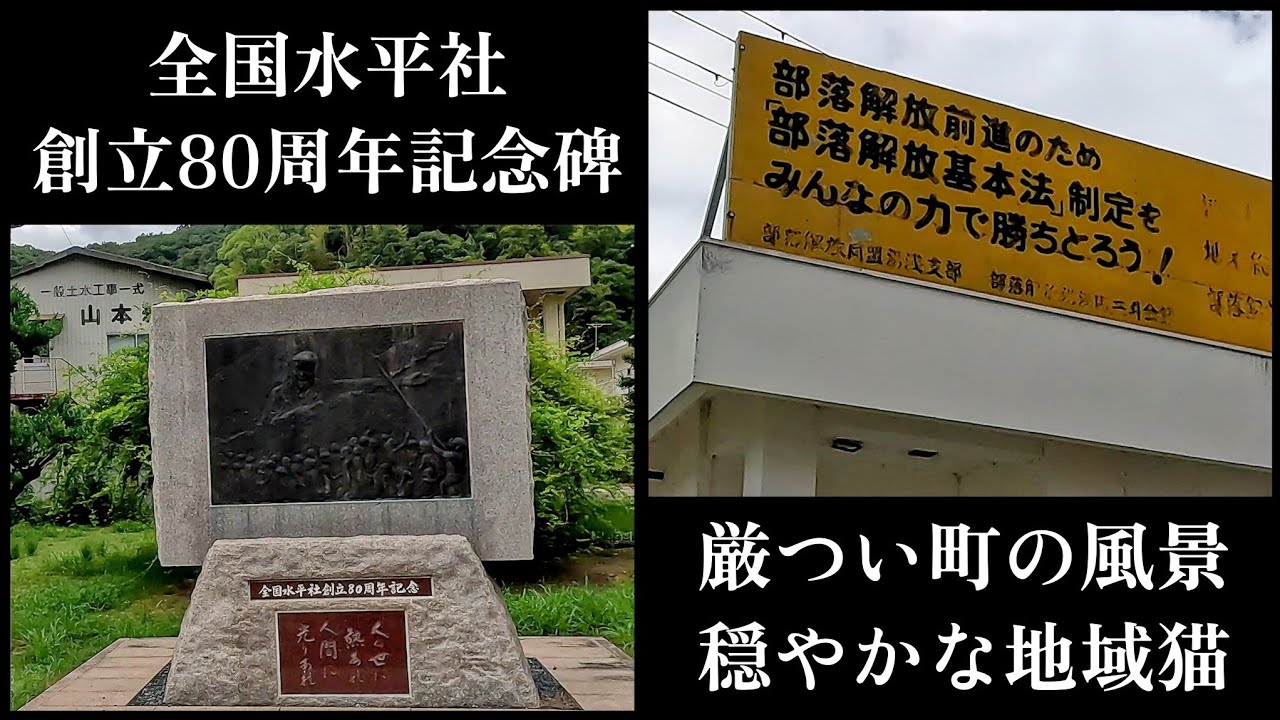 【醤油発祥の地 湯浅】厳つい雰囲気剥き出しの町と穏やかな地域猫。A town with a scary atmosphere and a gentle local cat.