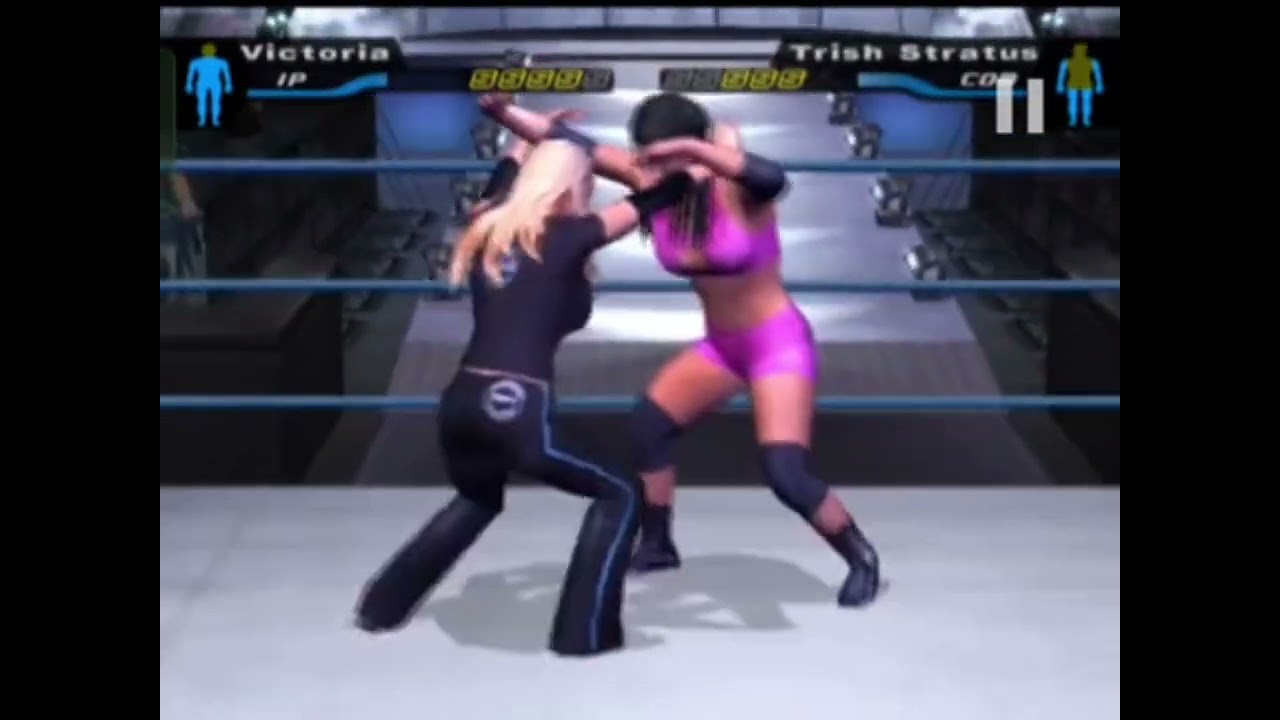 Wwe girl fight