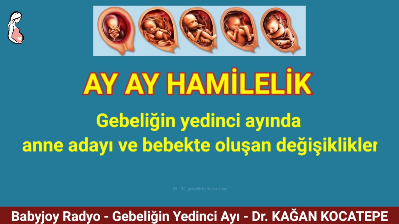 GEBELİKTE 7. AY (~ 26-30. HAFTALAR). ANNE ADAYI NELER YAŞAR VE HİSSEDER? BEBEKTE NE GELİŞMELER OLUR?