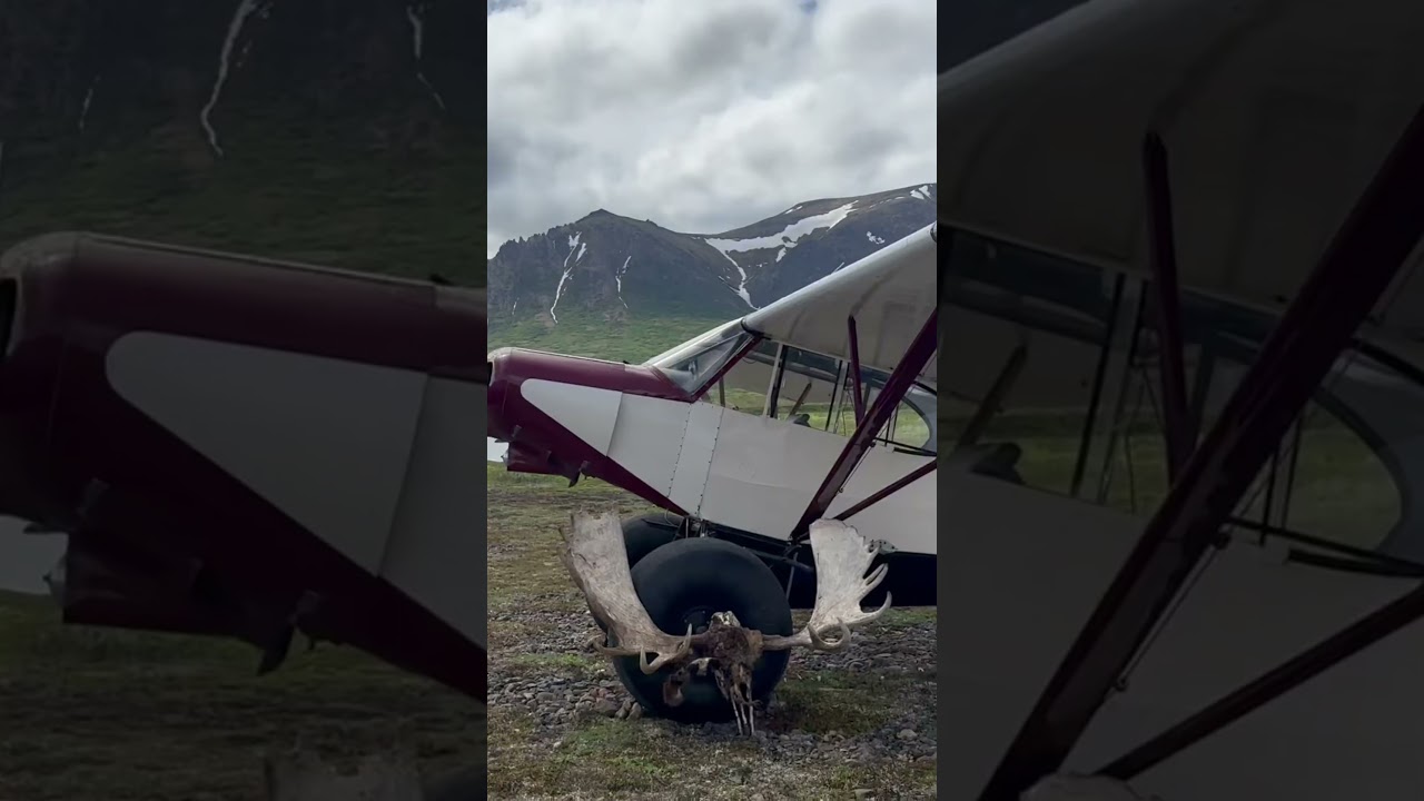 Are 35” Bushwheels worth the weight? 