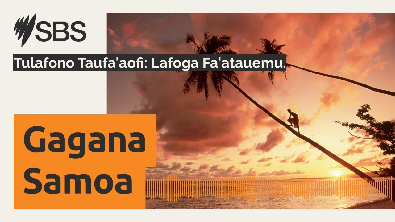 Tulafono Taufa'aofi: Lafoga Fa'atauemu. | SBS Samoan - SBS Samoan