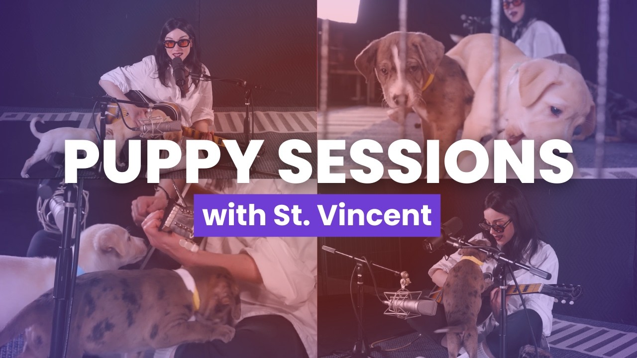 St. Vincent Performs for Rescue Puppies | Puppy Sessions