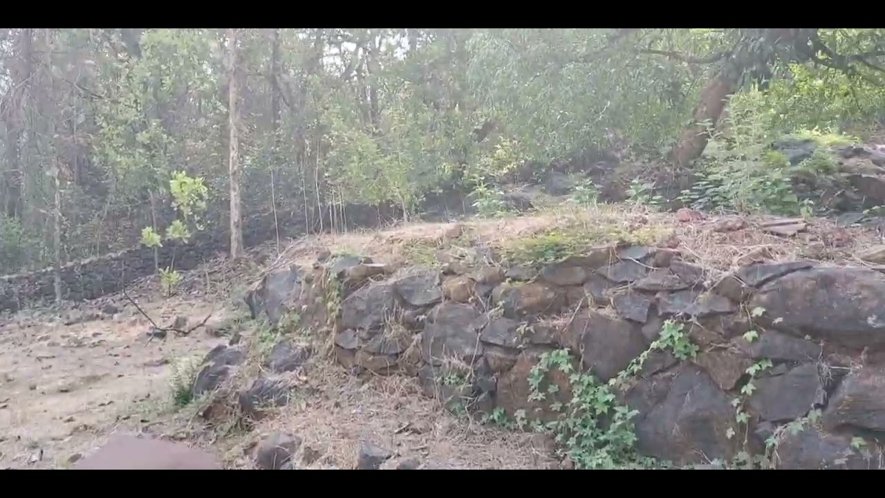 6.5 acre plot for sale at Kond Umare,Taluka. Sangameshwar Dist.Ratnagiri,MH