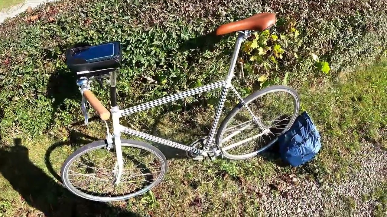 Singlespeed Fahrrad Pendeln - Gangschaltung unnötig?