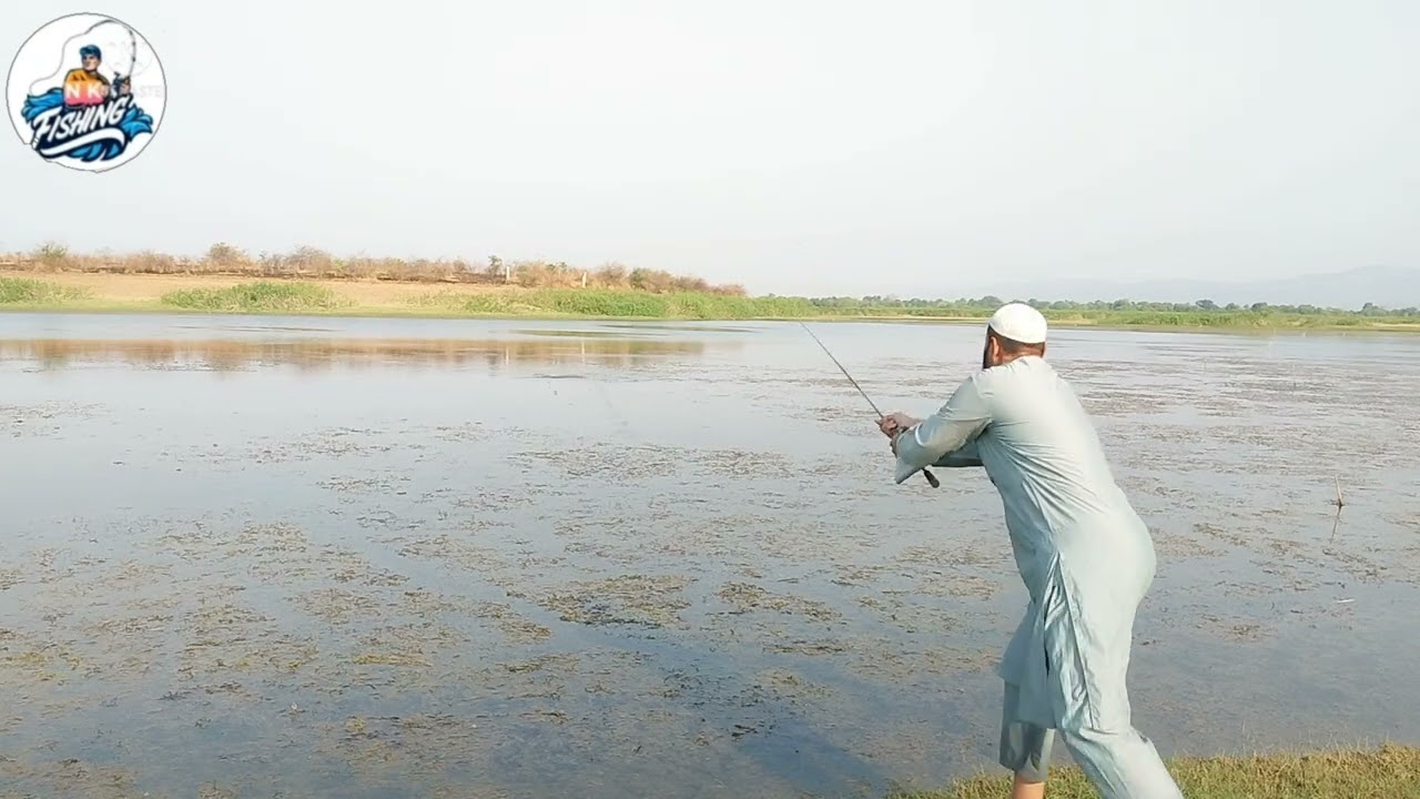 Fish hunting and caching videos ll snakehead machli fishing