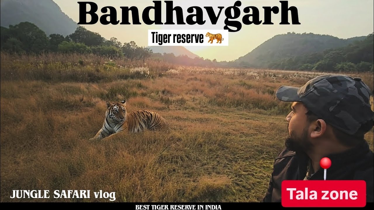 Bandhavgarh tiger reserve | Land of tigers |Tala gate jungle safari 🐅