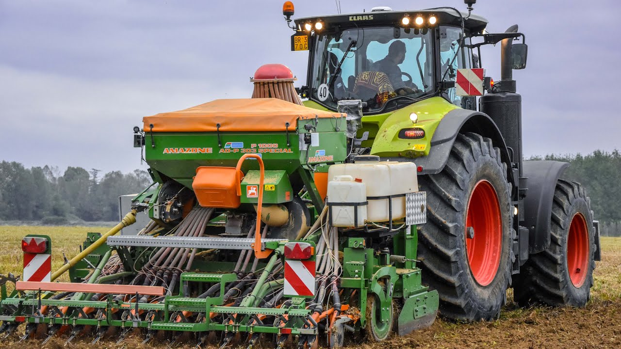 Claas Axion 950 + Amazone AD-P 303 Special | Semina Frumento