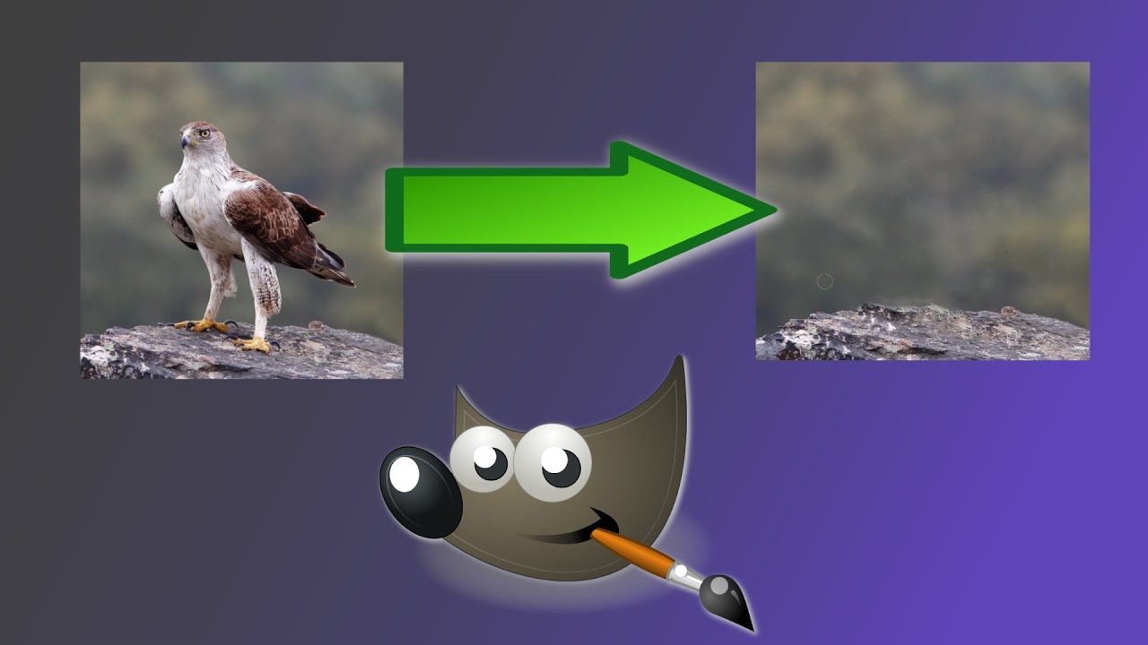 🖌 Como DUPLICAR o ELIMINAR cualquier Cosa - Herramienta CLONAR en GIMP