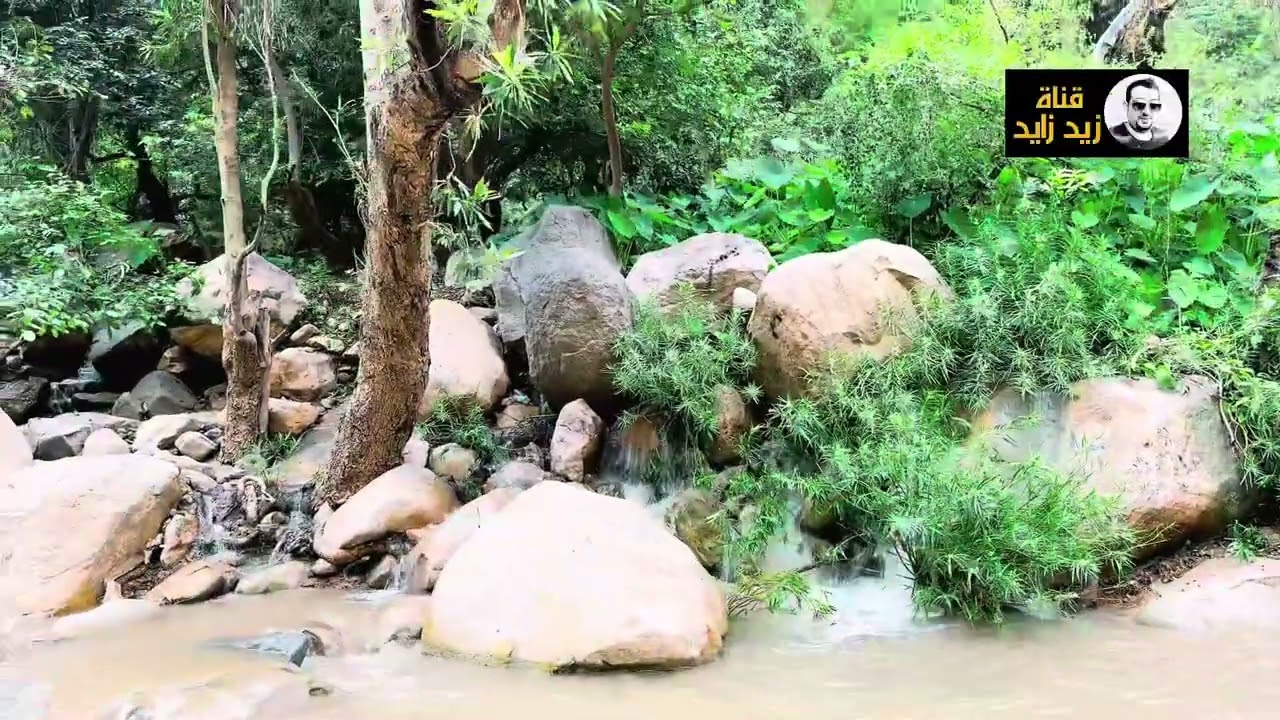 رحلتنا الي سردد  معقول هذا في المحويت ￼￼￼ لا تفوتكم الفرصة شاهد￼❤️