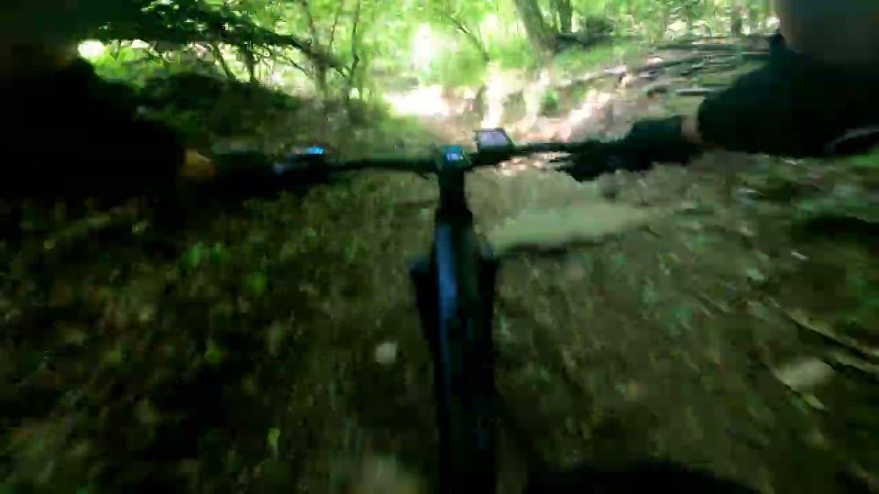 Morselli DH con Giorgio a fuoco..