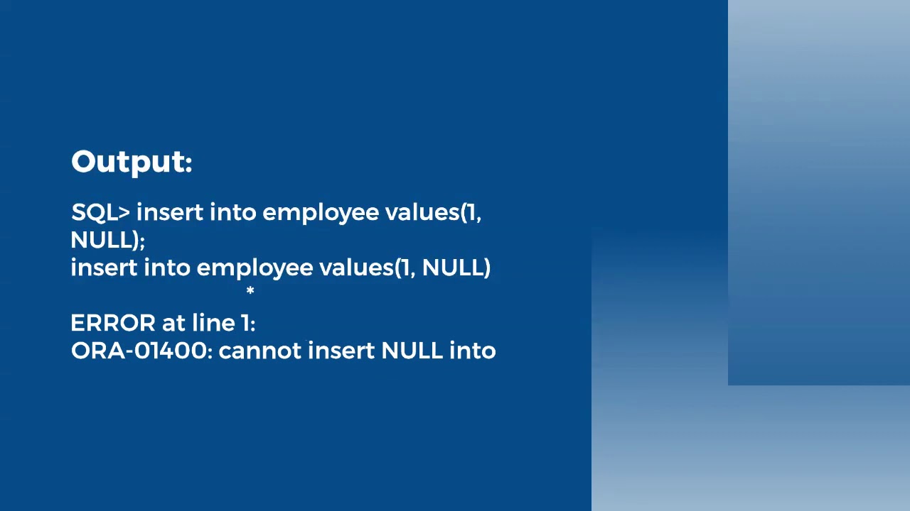 Domain Integrity Constraints
