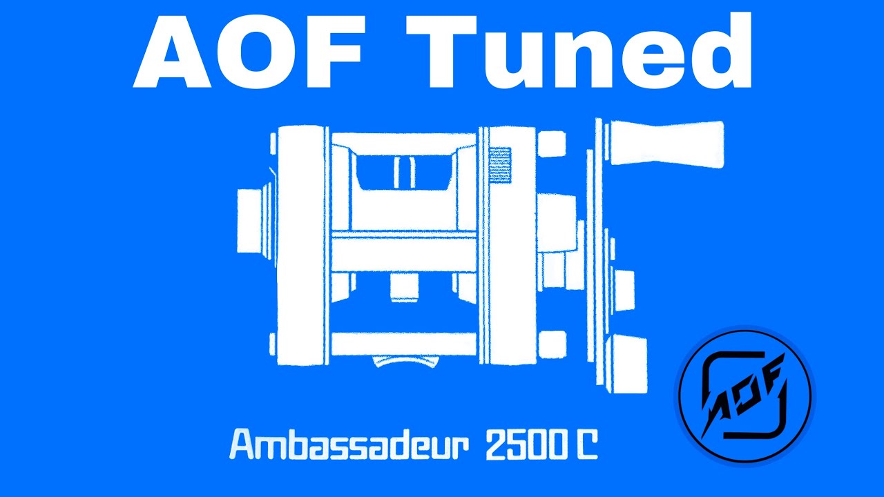 [Anglersoutfitter CH] Abu Ambassadeur 2500C Blue BFS Tuned by AOF