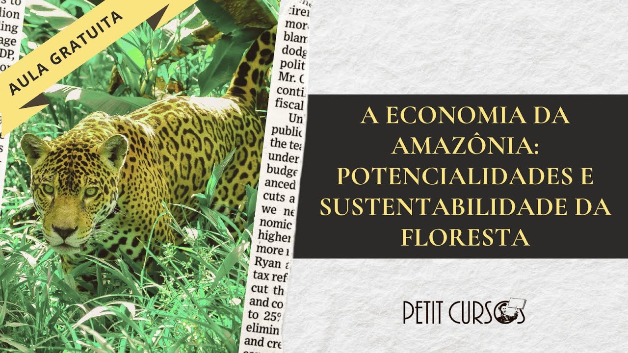 A economia da Amazônia: potencialidades e sustentabilidade da floresta | AULA GRATUITA