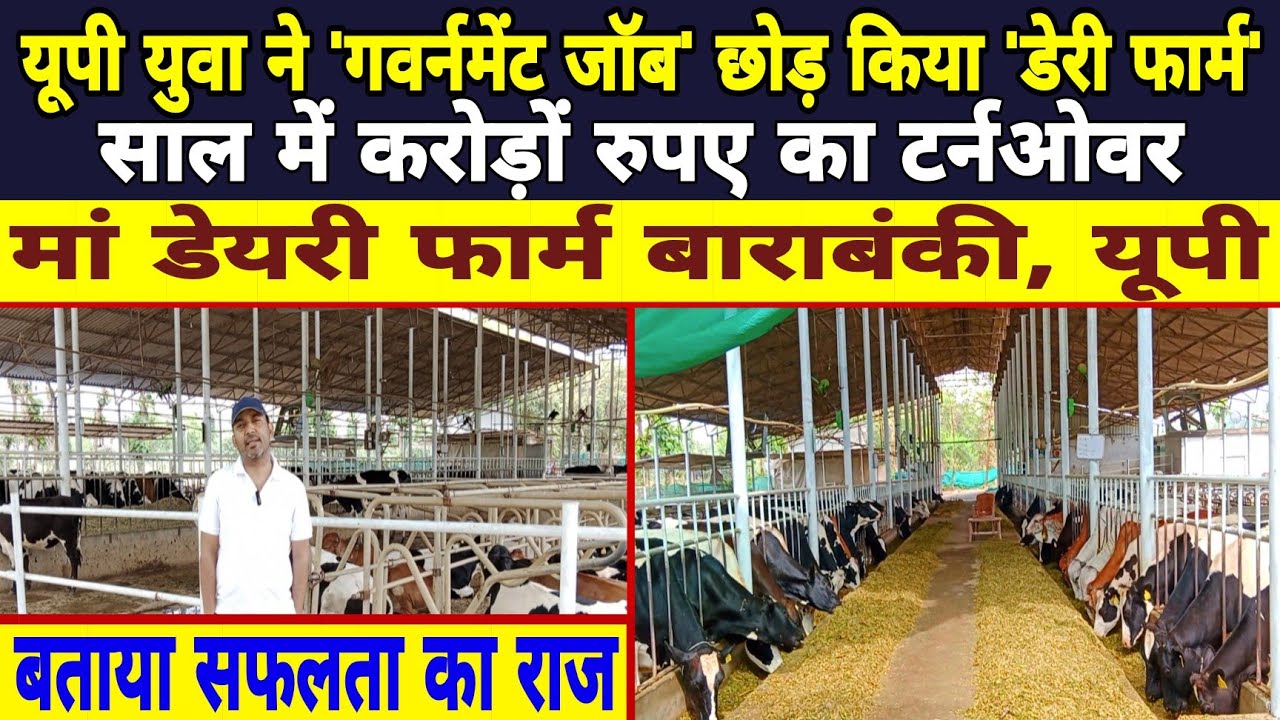 यूपी युवा ने गवर्नमेंट जॉब छोड़, किया डेरी फार्म,आज करोड़ों का टर्नओवर || Maa Dairy Barabanki Up ||