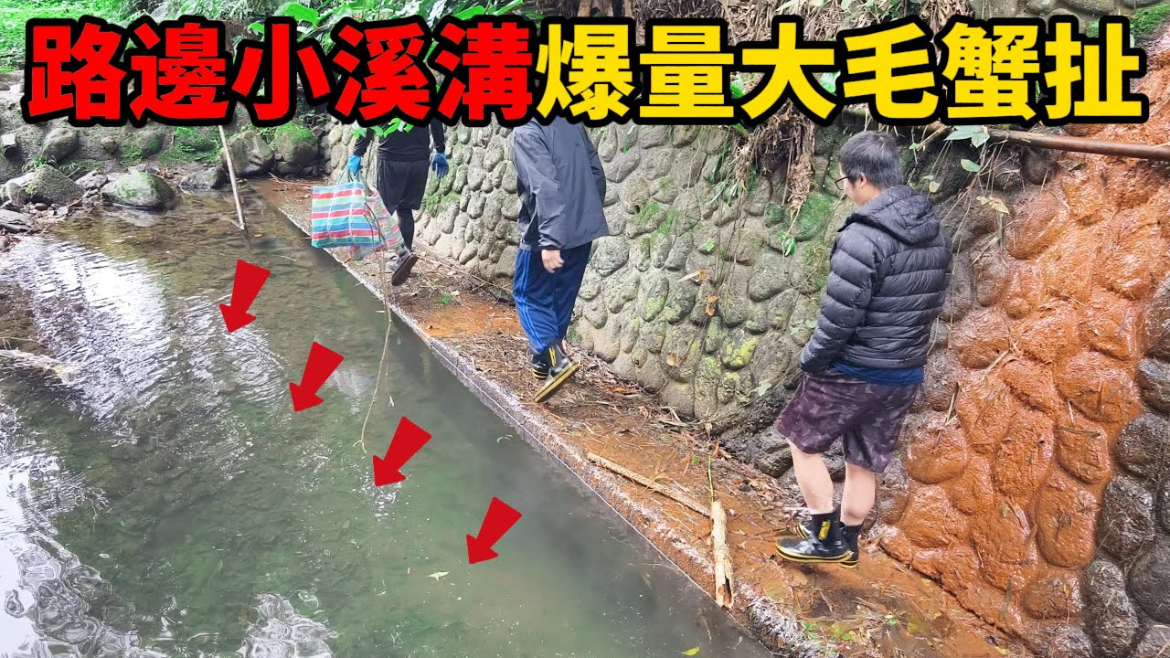 《抓毛蟹全教學》教你如何從0到吃上一口升天蟹膏的美味 世界悲慘的事 大量毛蟹就在路邊而你卻不知道 早餐直上