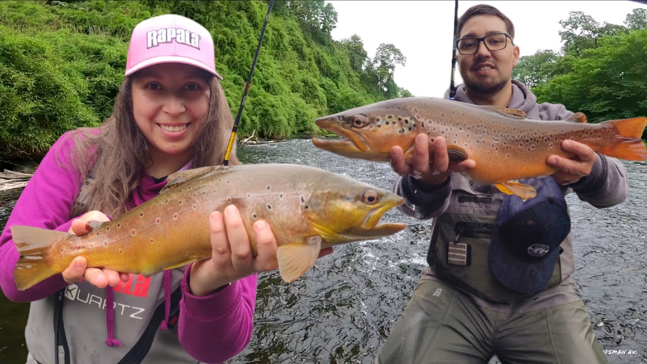 ¡Locura Total! Así Estaba el Río en la Mañana… Truchas a Full con Señuelos / Pesca en Chile 