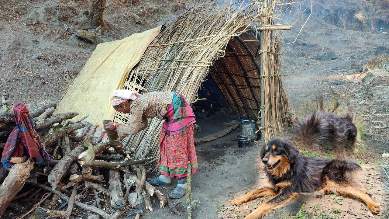 Nomadic shepherd life of himalayan nepal || himalayan shepherds life - ep. 01 || TheVillageNepal