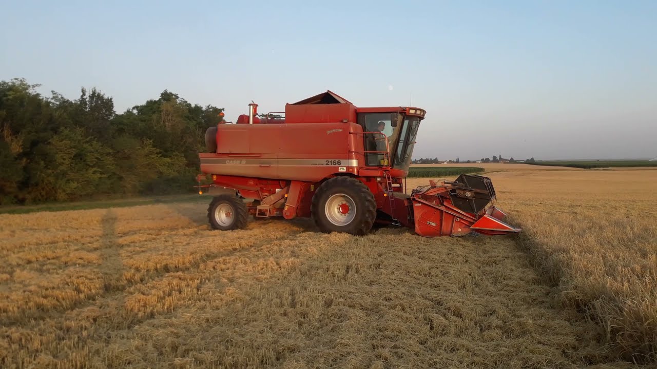 Moisson orge partie 2