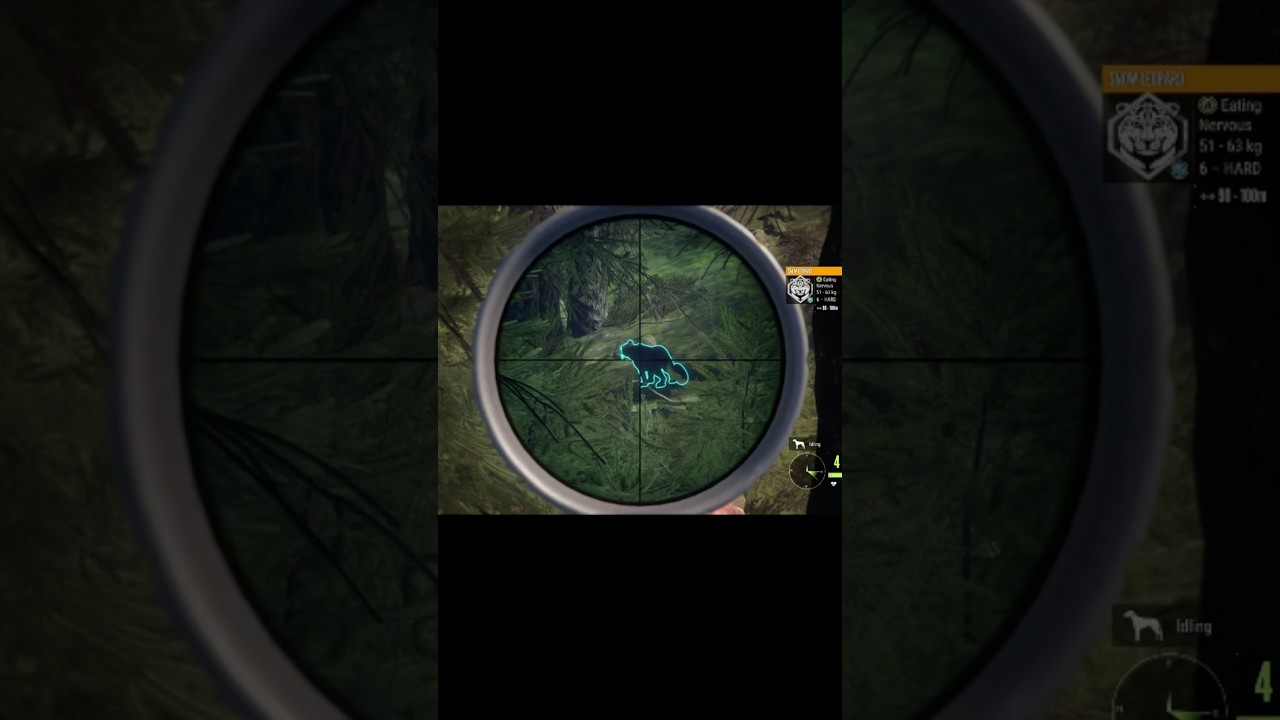 Melanistic Snow Leopard #cotw #hunting