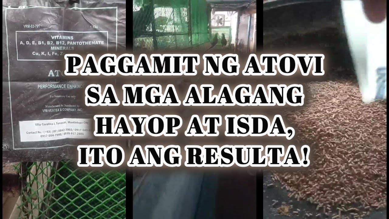 Paggamit ng Atovi sa mga Alagang Hayop at Isda, Ito ang Resulta!