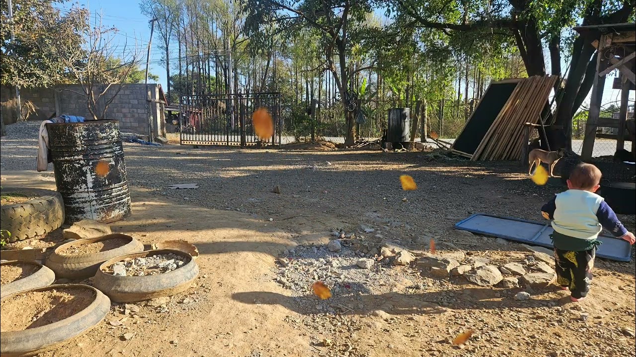 Жизнь Тигра