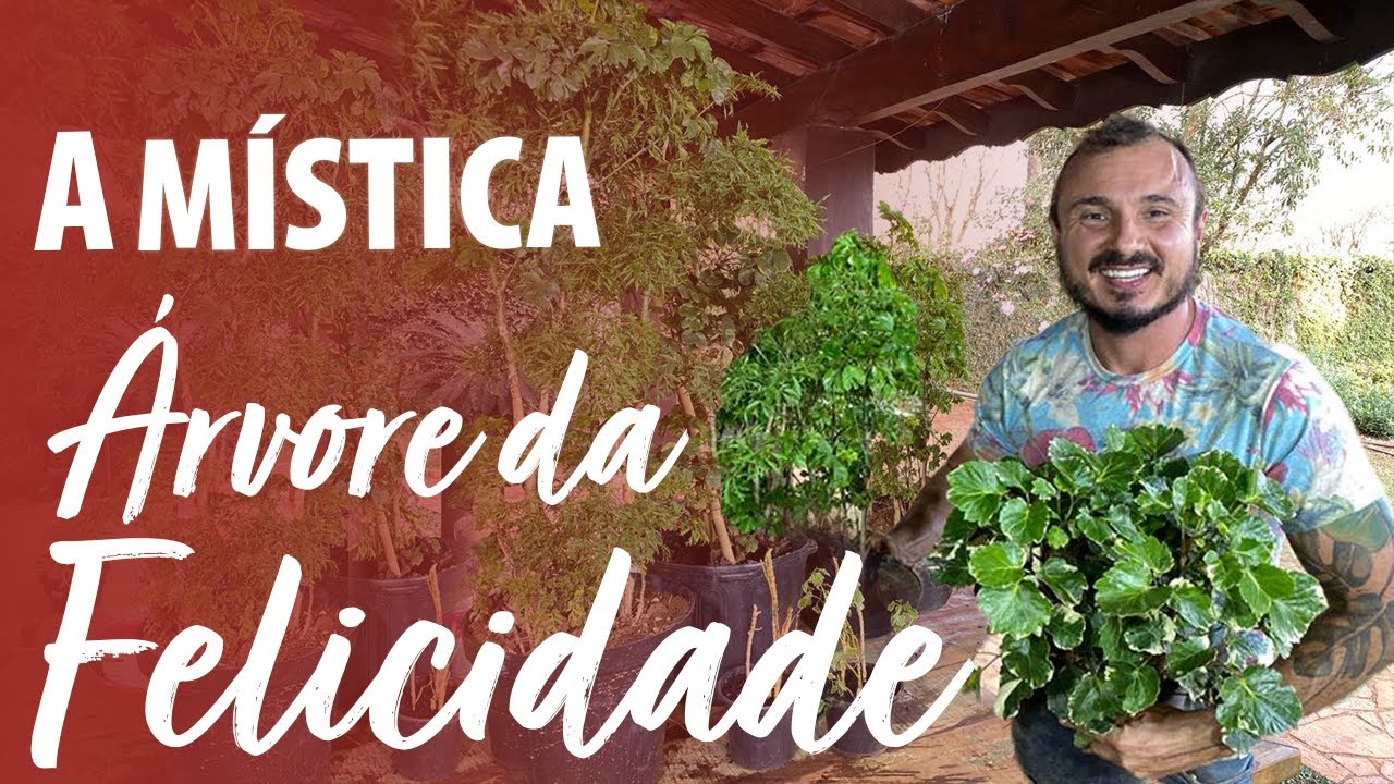 A MÍSTICA  ÁRVORE DA FELICIDADE
