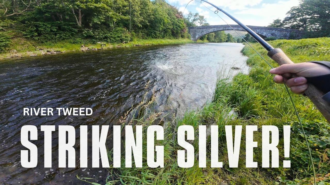 My First Fish of The Season! | Salmon Fishing Scotland